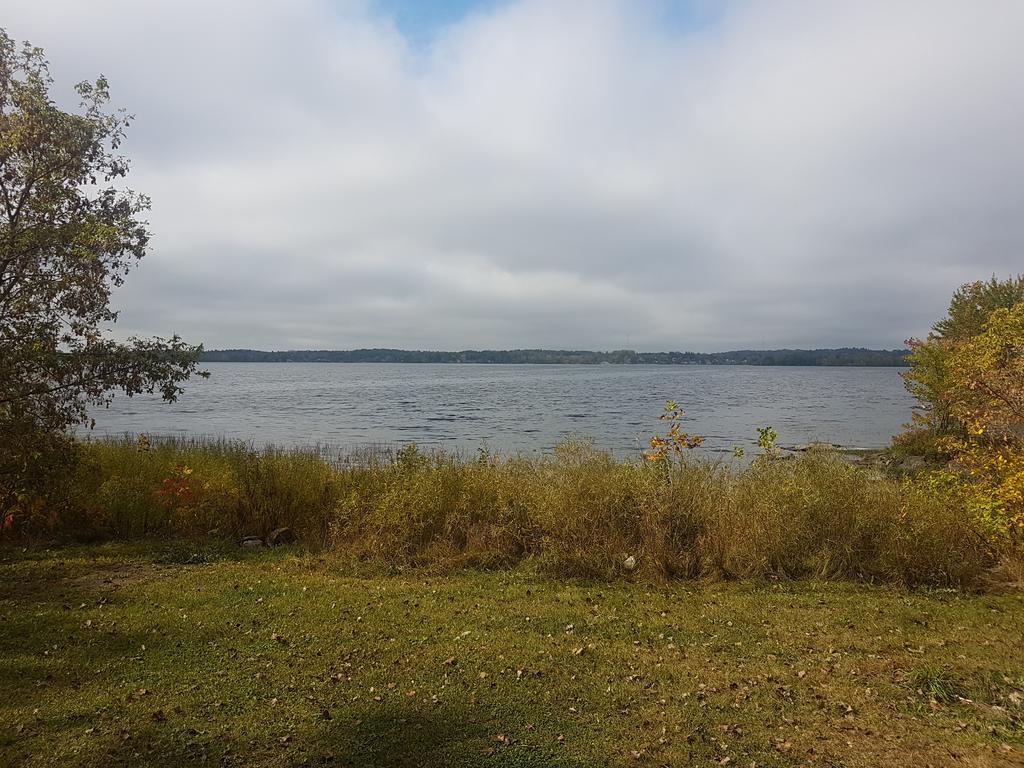 Stoco Lake Lodge Tweed Eksteriør billede